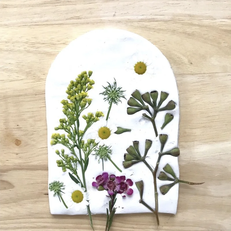 Weekly Wildcrafting at Inspiration Ridge Preserve: Clay Bouquet — Wildflower Exploration