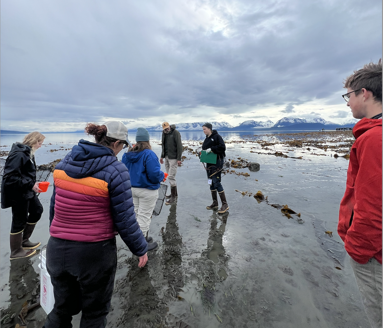 Special Event: Low Tide Guided Tide Pooling at Pier One Beach 