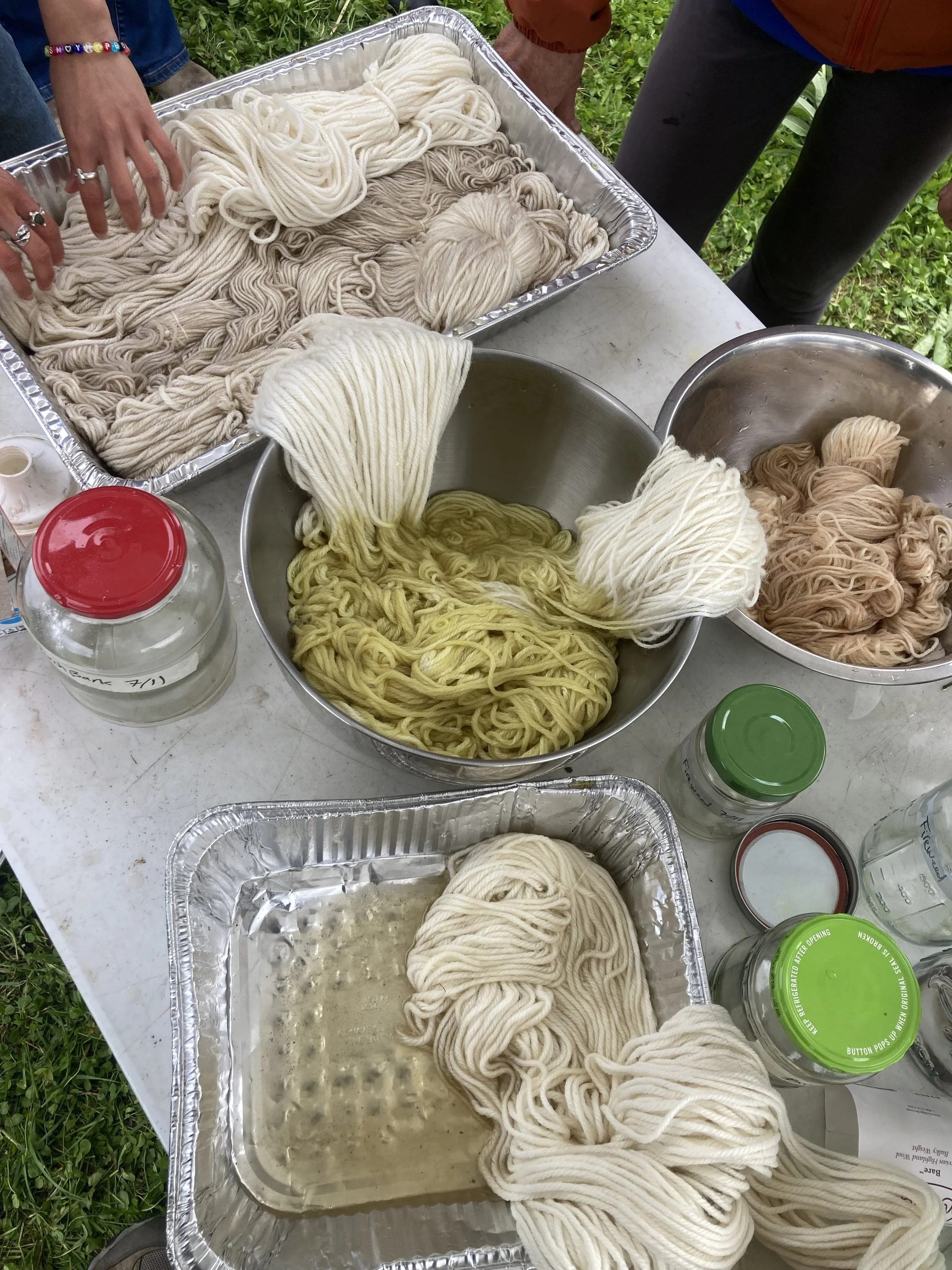 Weekly Wildcrafting at Inspiration Ridge Preserve: Natural Dyes 
