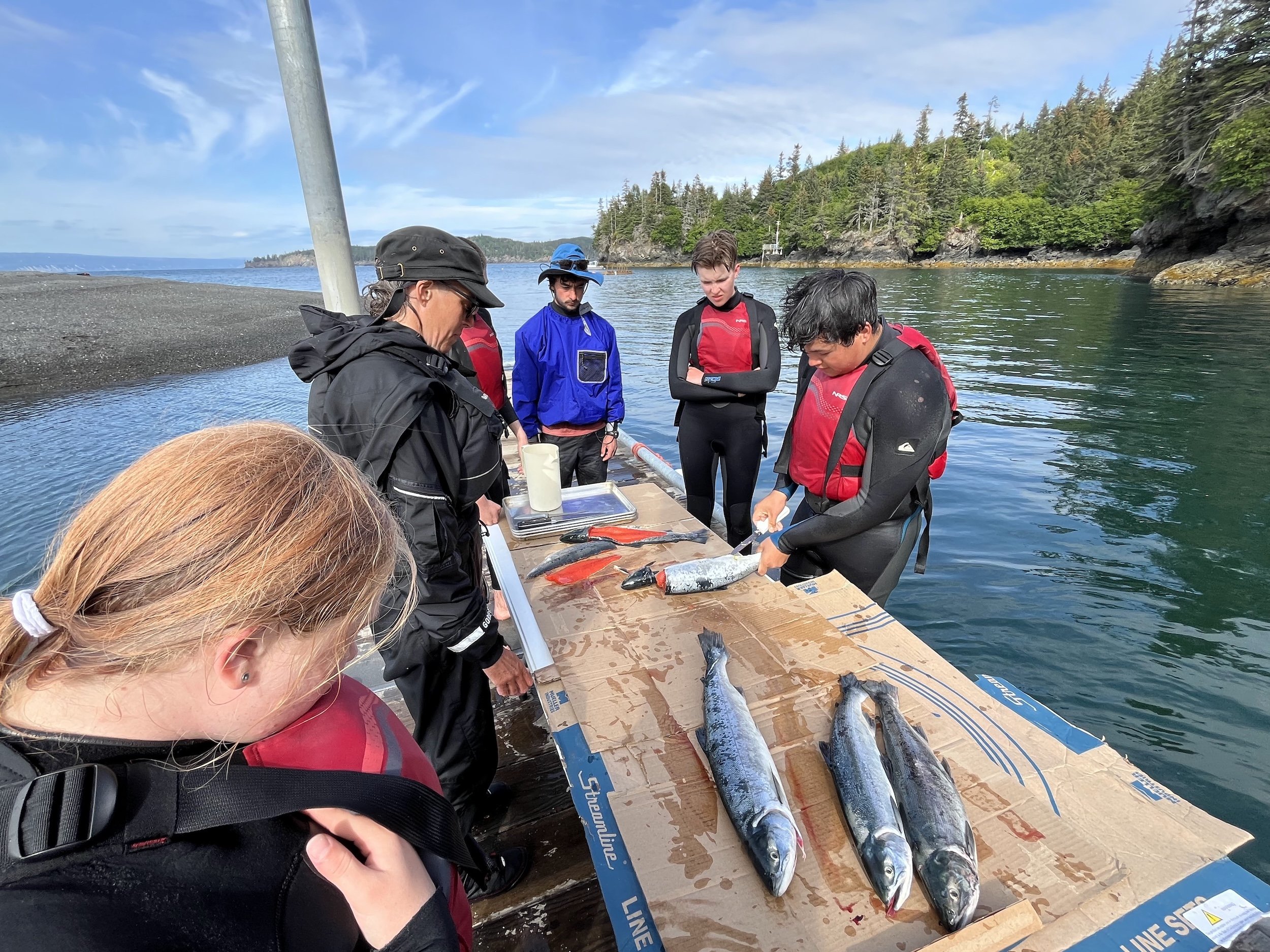 2024_MSE_fish dissection on dock.jpeg