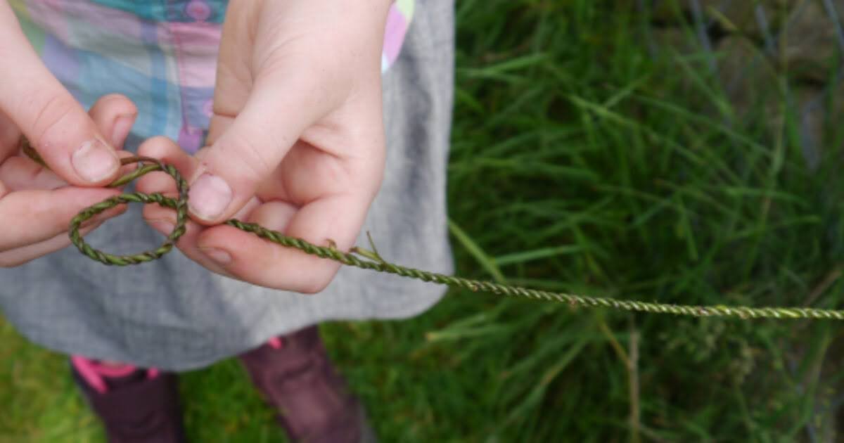 Nettle Cordage at Inspiration Ridge Preserve