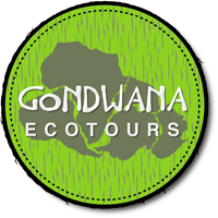 Gondwana_Ecotours_Logo-New-FINAL.png