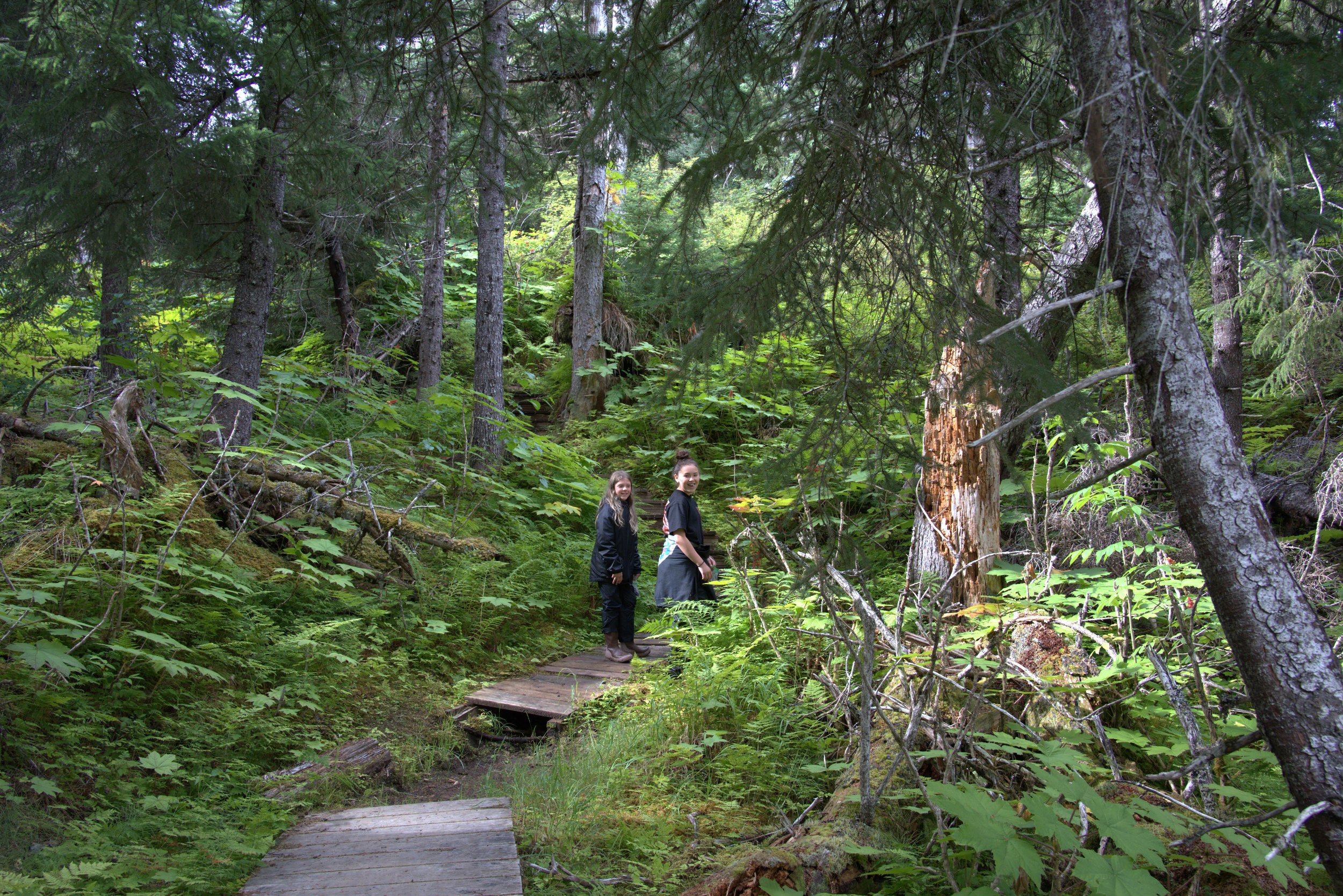 2025_MMC_in the forest.jpg