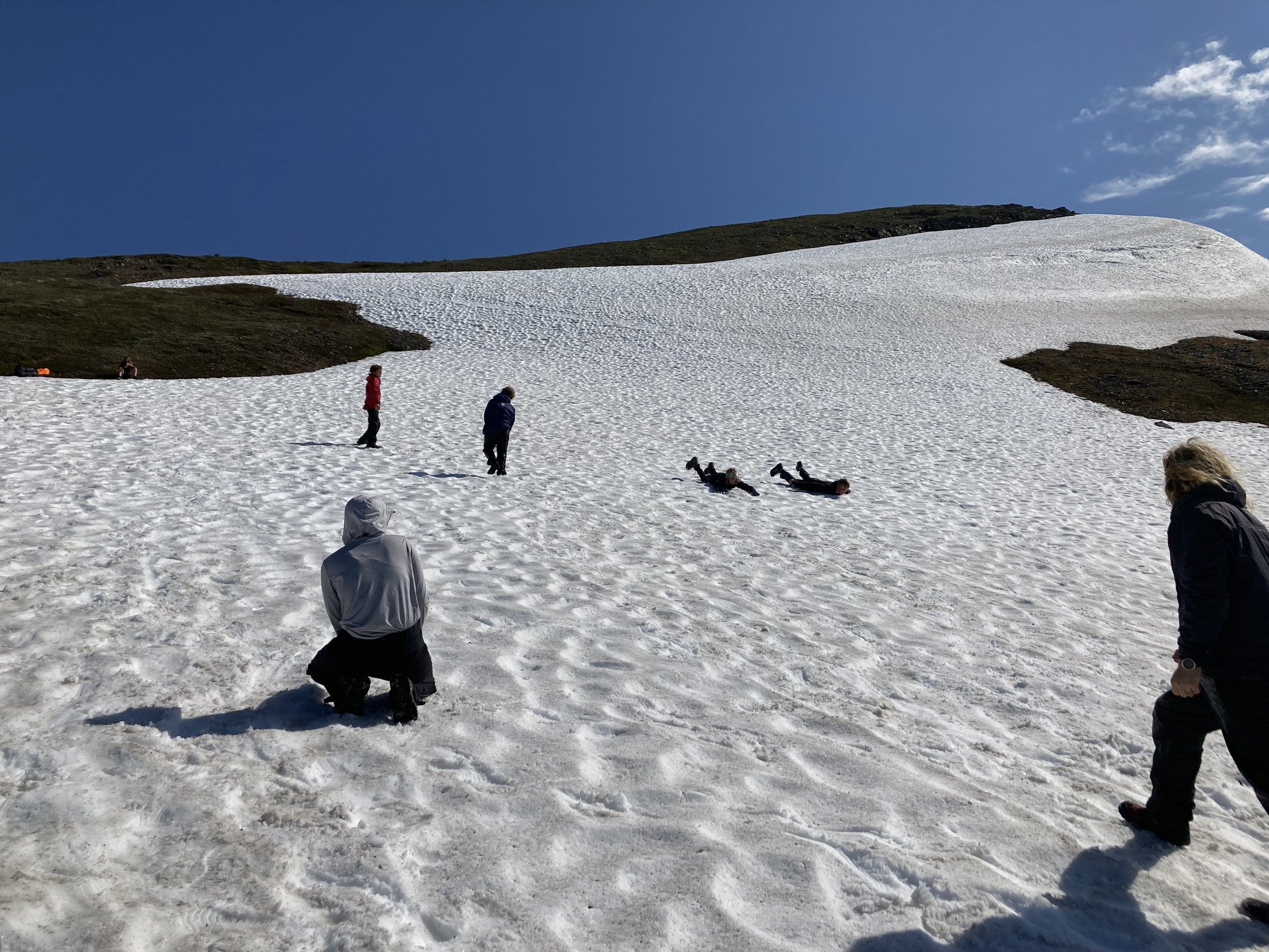 2024_TC_alpine sledding.jpeg