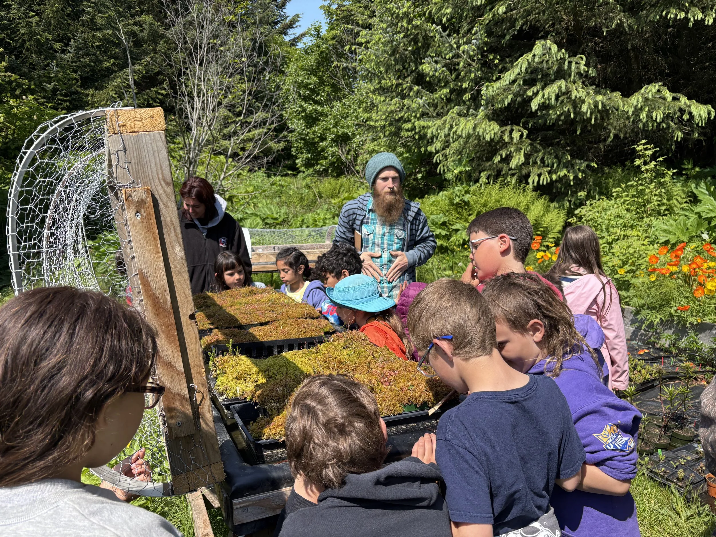 2025_DC_pratt gardens.jpeg