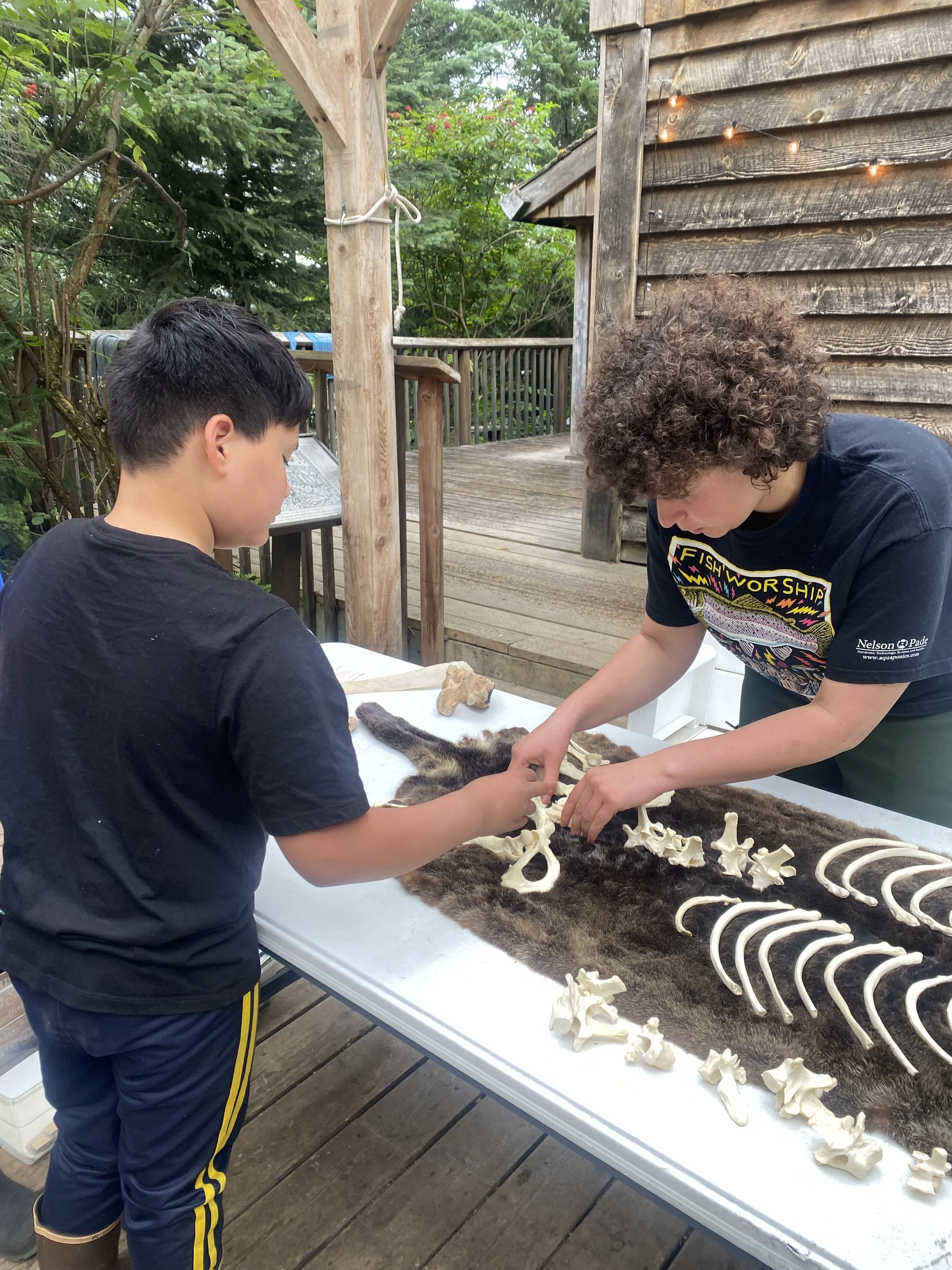 2025_MMC_otter articulation 2.jpeg