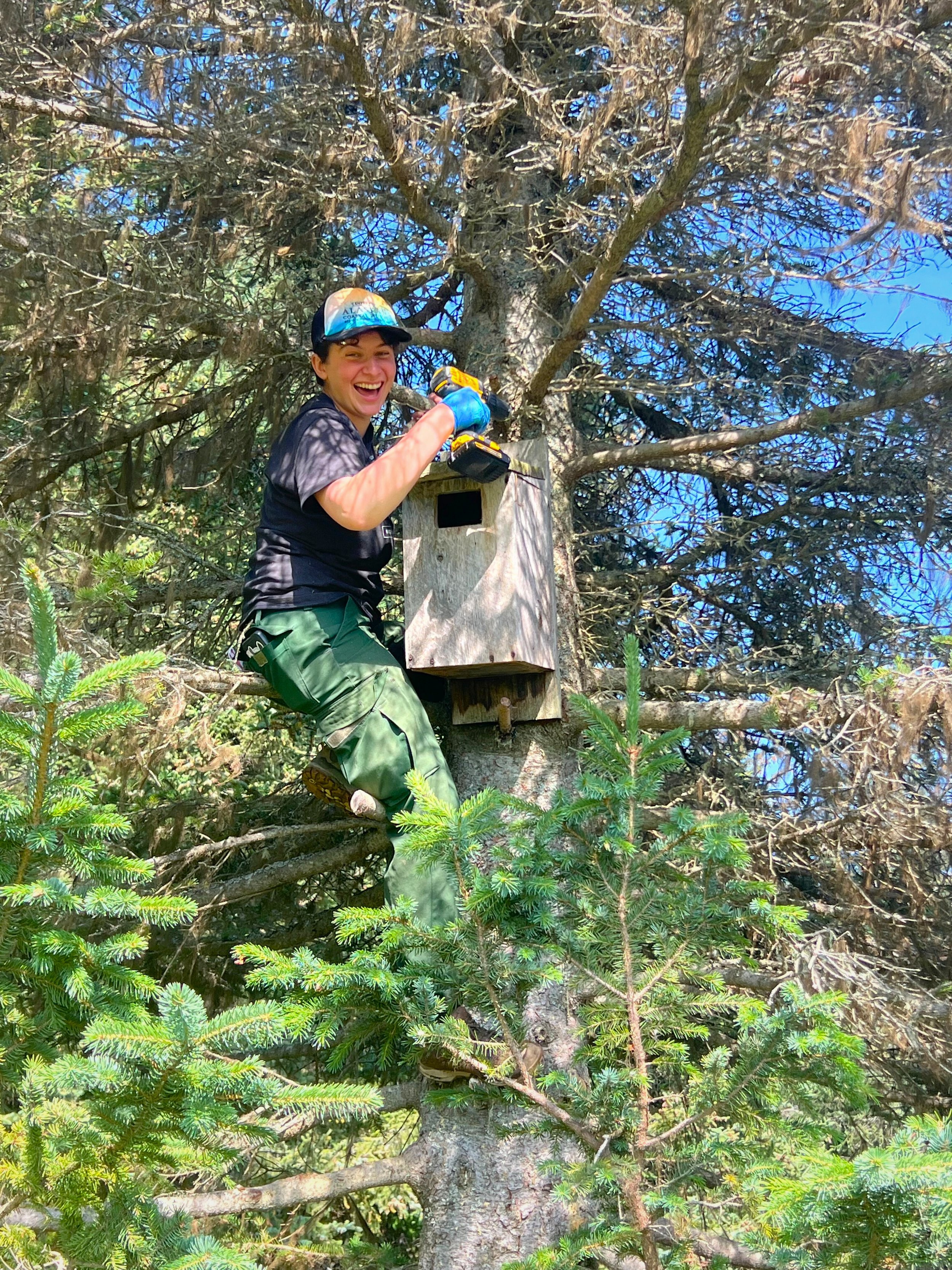 Sarahlilly with a bird box.jpg