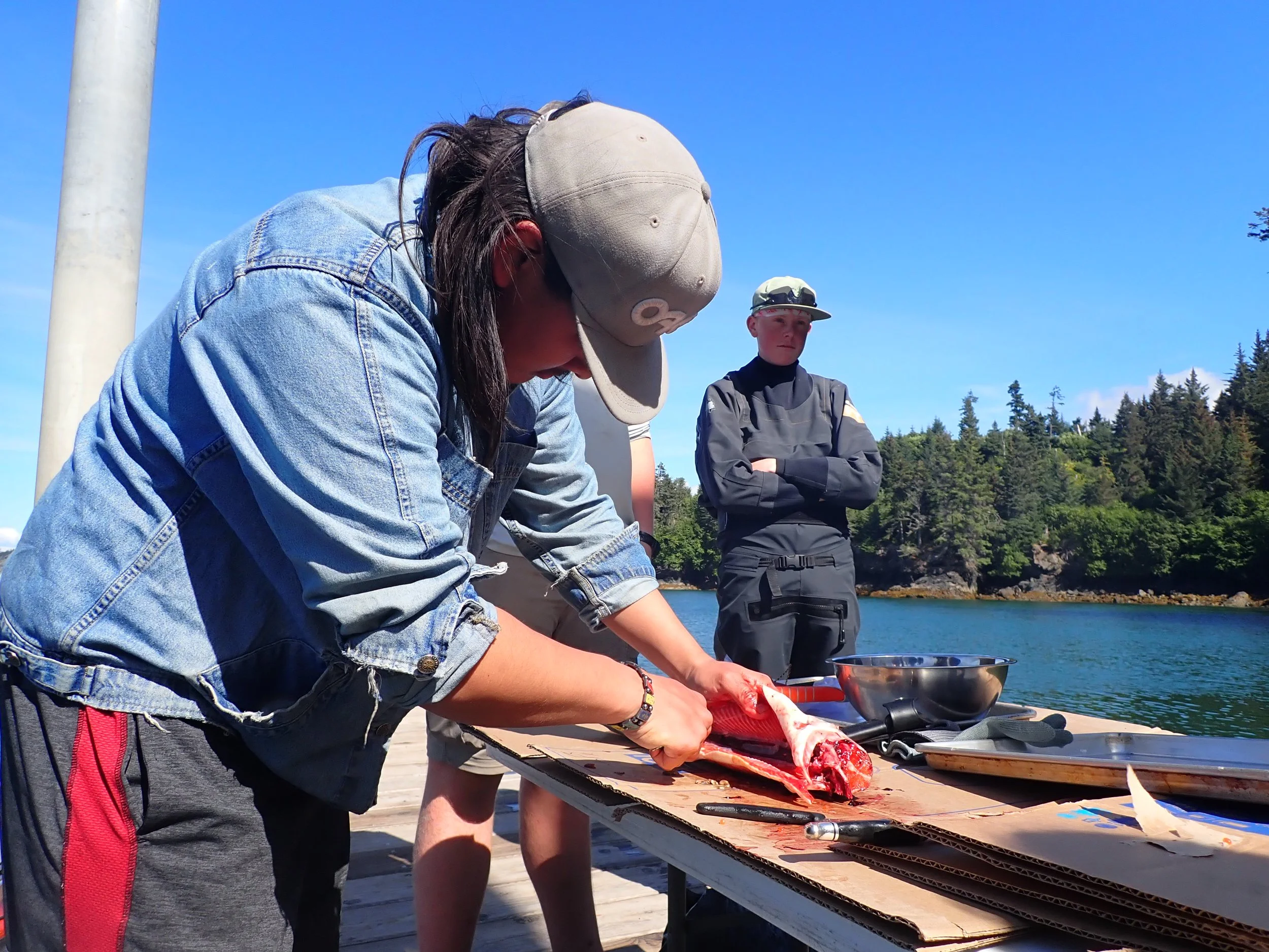 2025_MSE_dissection 2.JPG