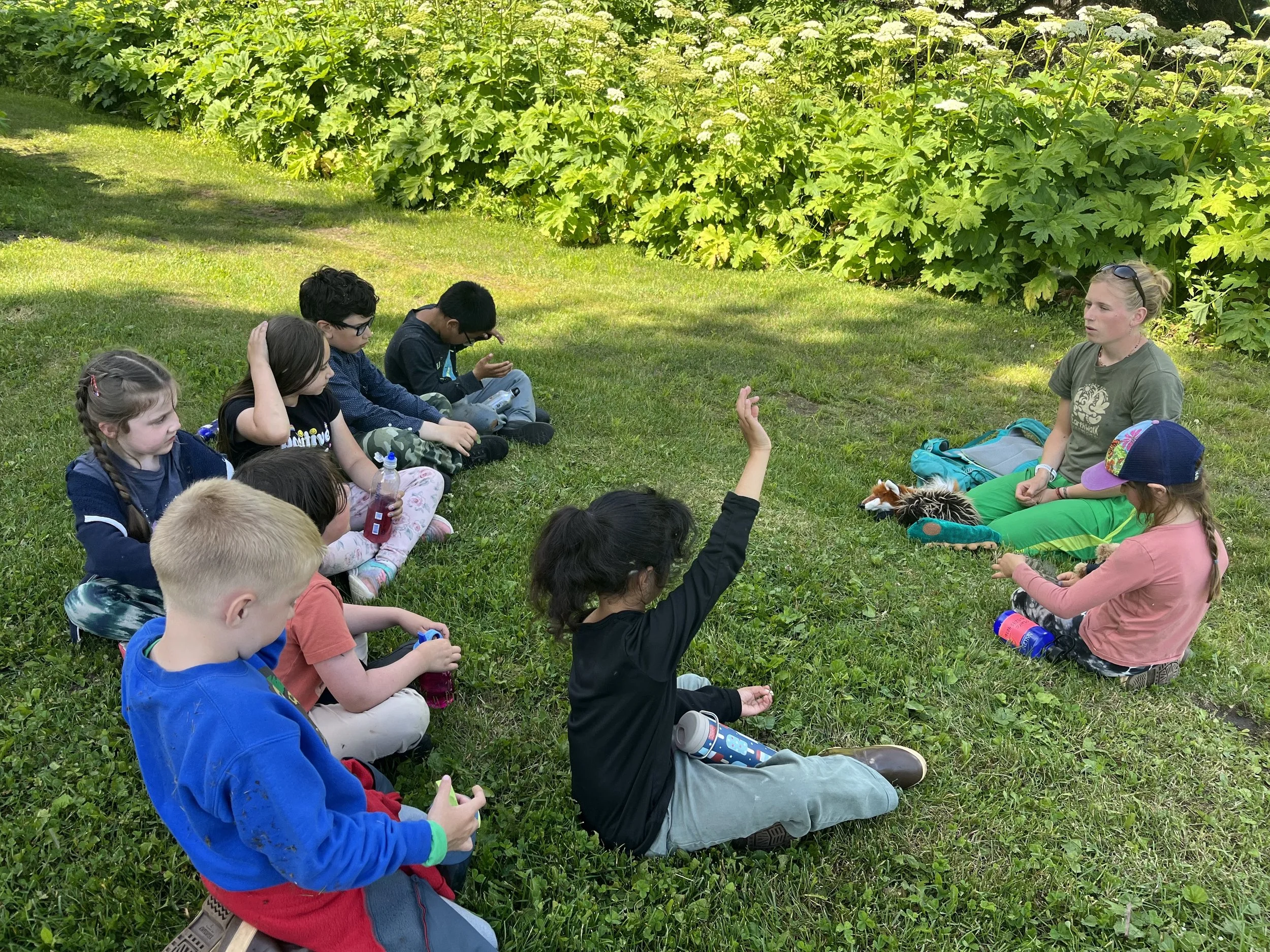 2026 Day Camps Information Sessions