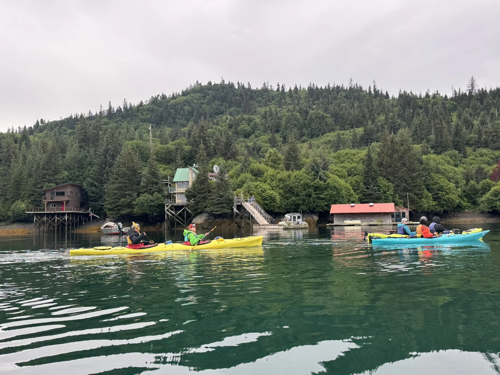 2025_MSE_kayak halibut cove.jpeg