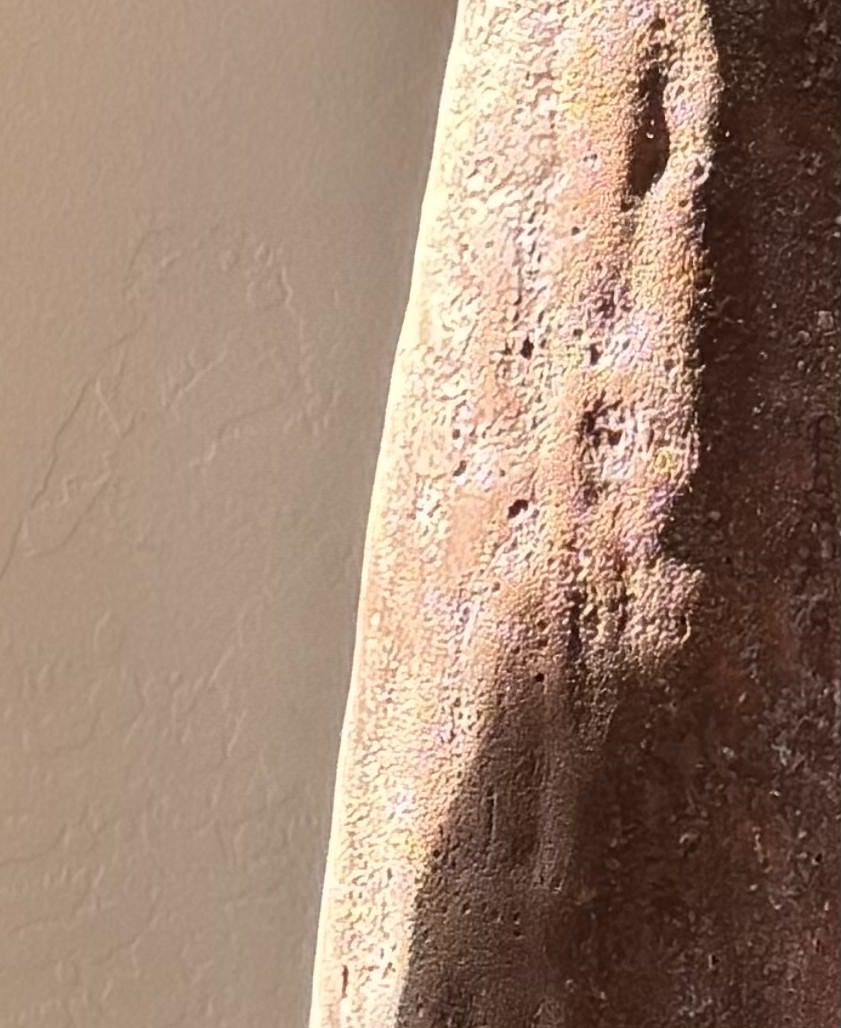 1BDB0647-8CFA-4C07-B194-4C8175057A17_1_201_a.jpg