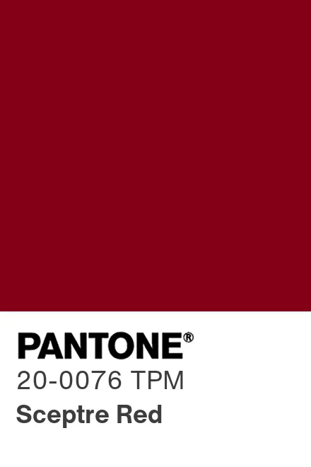 pantone-color-chip-20-0076-tpm.jpg