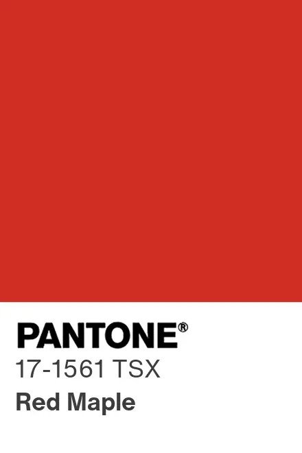 pantone-color-chip-17-1561-tsx.jpg