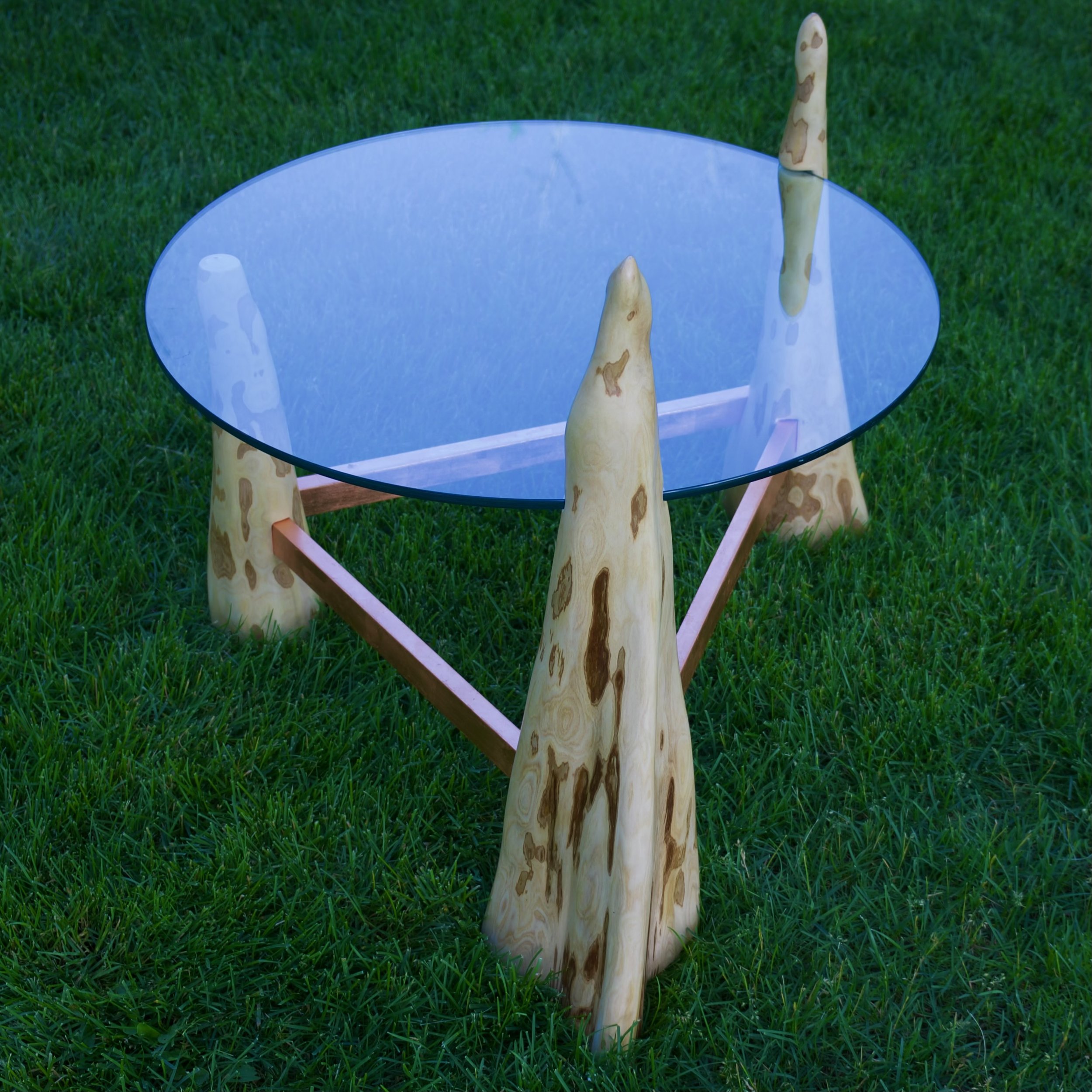 Swamp Table.jpeg