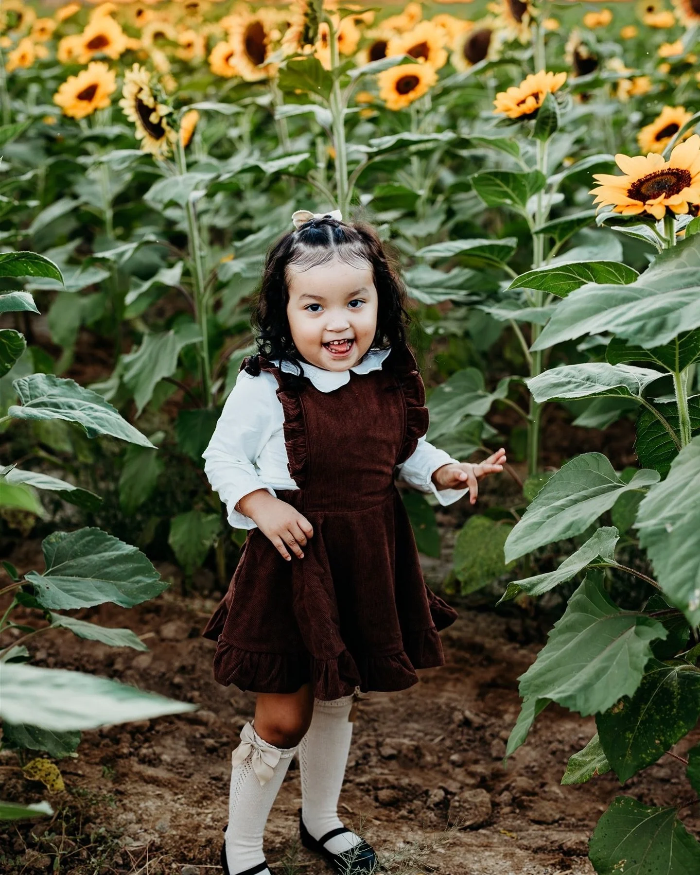 S U N F L O W E R S !

These go live in an hour!  It is scheduled for October 14th.  This is a Monday evening and also a holiday.  This is also subject to change based on availability of the farm.  I have done this day for the last 3 years but just i