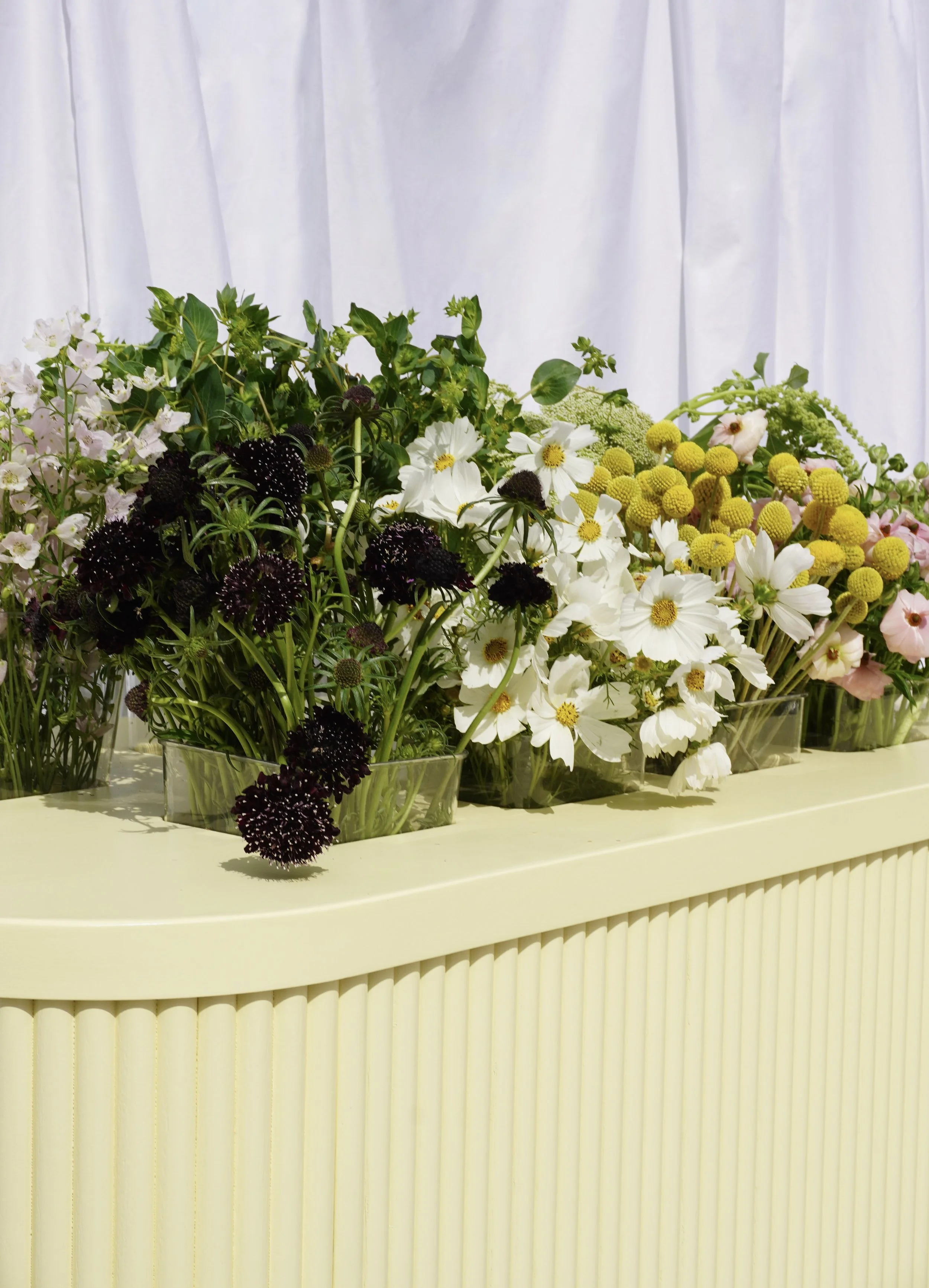 A close-up of curated fresh flower stems displayed in clear vases along the Bloom Bar LA cart, featuring dark scabiosa, white cosmos, yellow craspedia, and pink ranunculus.