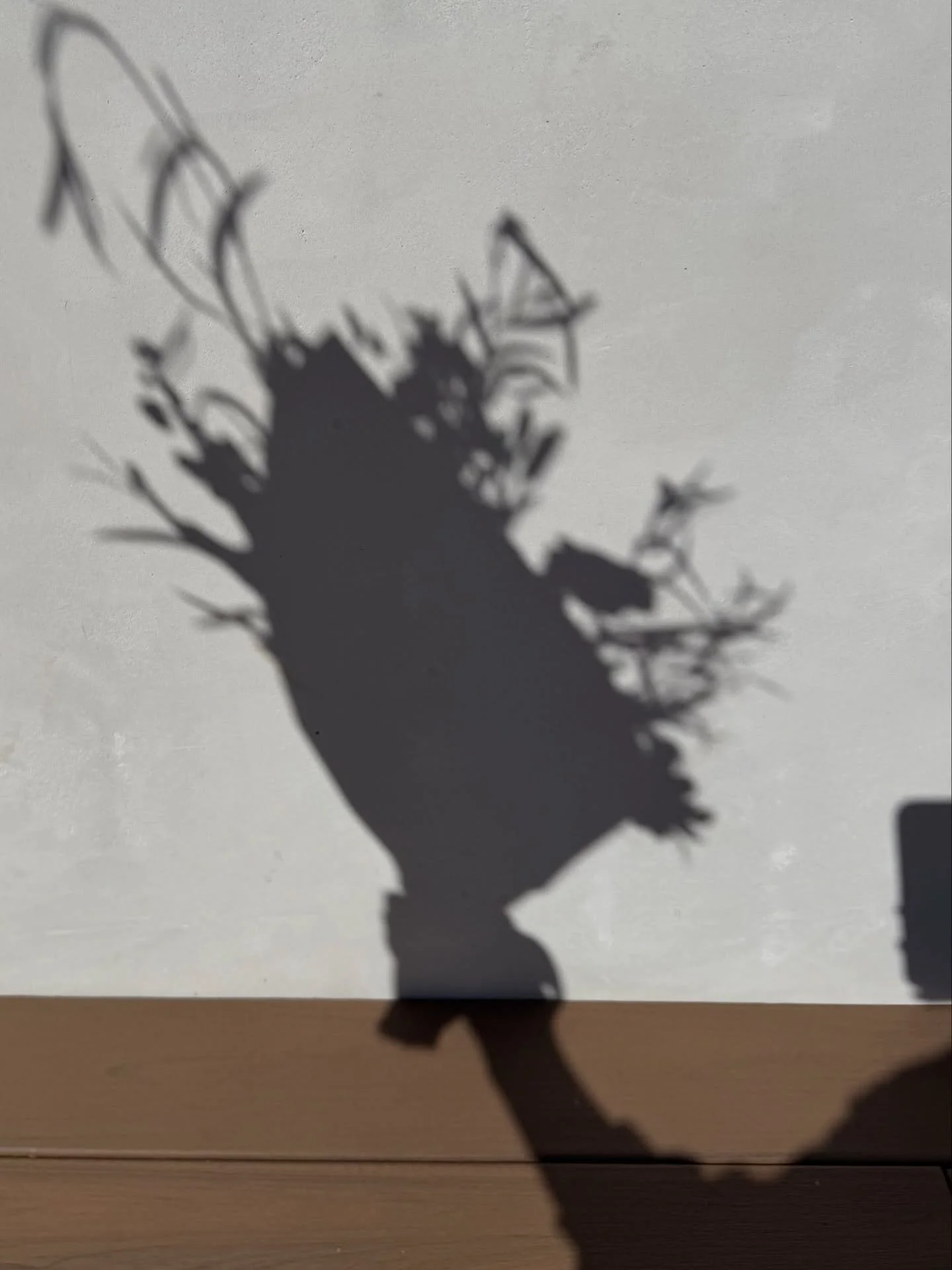 We are so close to launch ⭐️

Bloom Bar LA was an idea that came to me in the fall of 2023, and it&rsquo;s kind of surreal that I&rsquo;m finally pushing it out into the world. With a background in brand events, partnerships, and a short stint in the