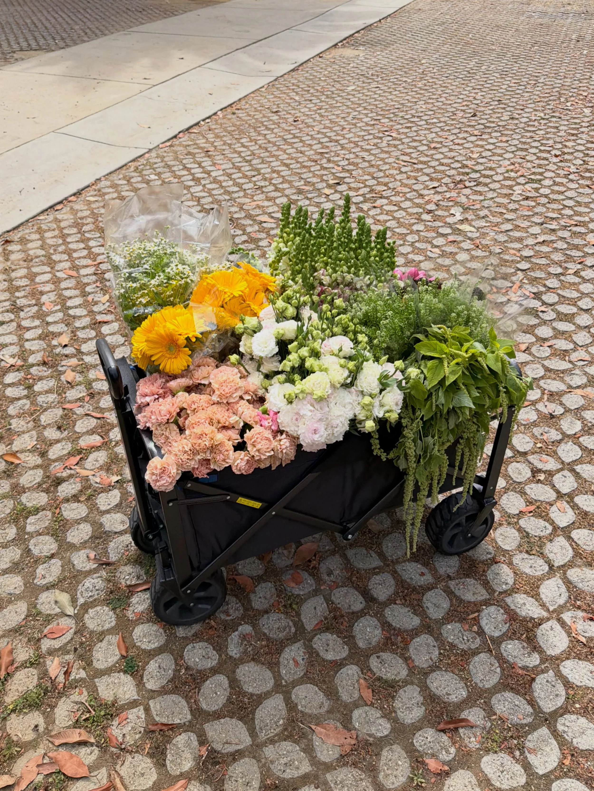 flowers in the park ˚✿˖&deg;