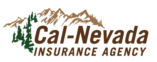 CNIA Logo - HiRes 2.png