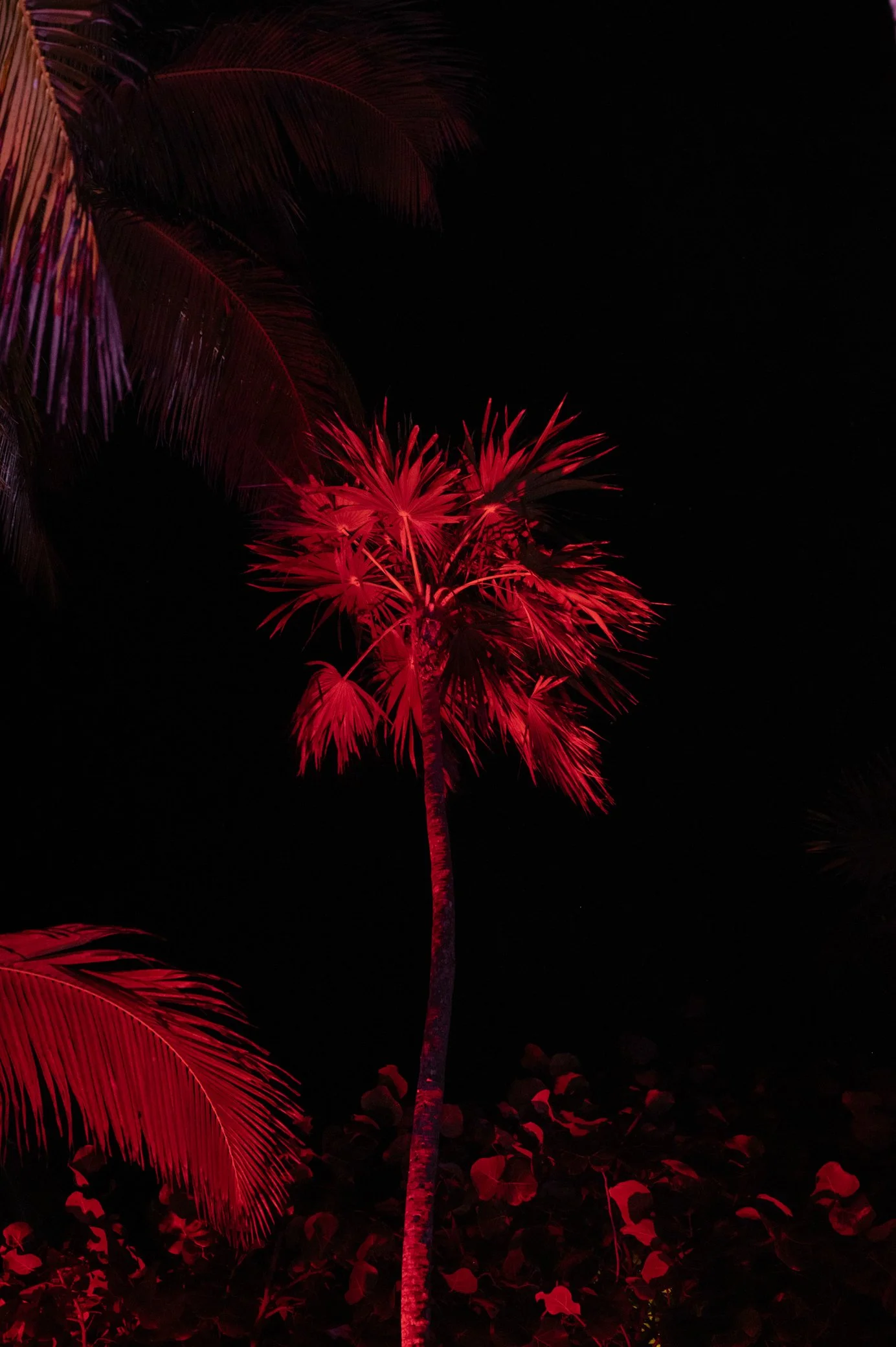 Lera & Dima destination wedding in Casa Malca Tulum-780.jpg