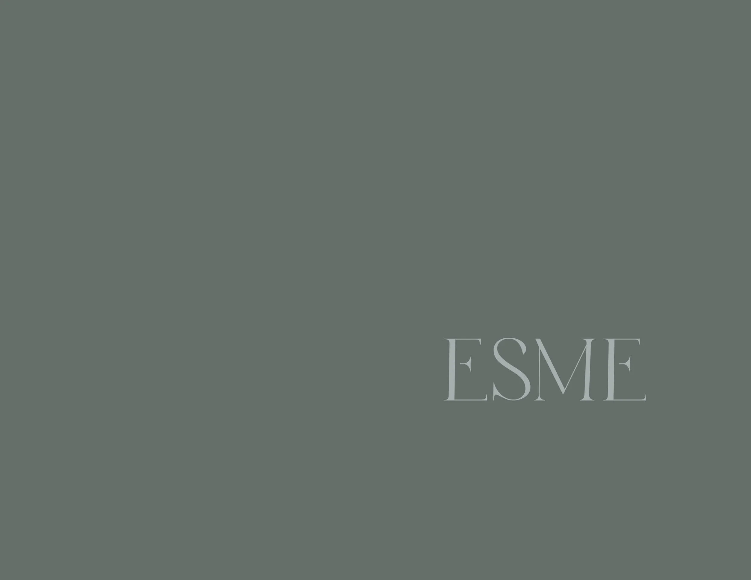 Esme_BrandBook_3.26.26_Draft.jpg