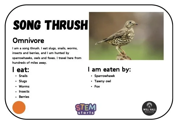 2_Food Web Game3.jpg