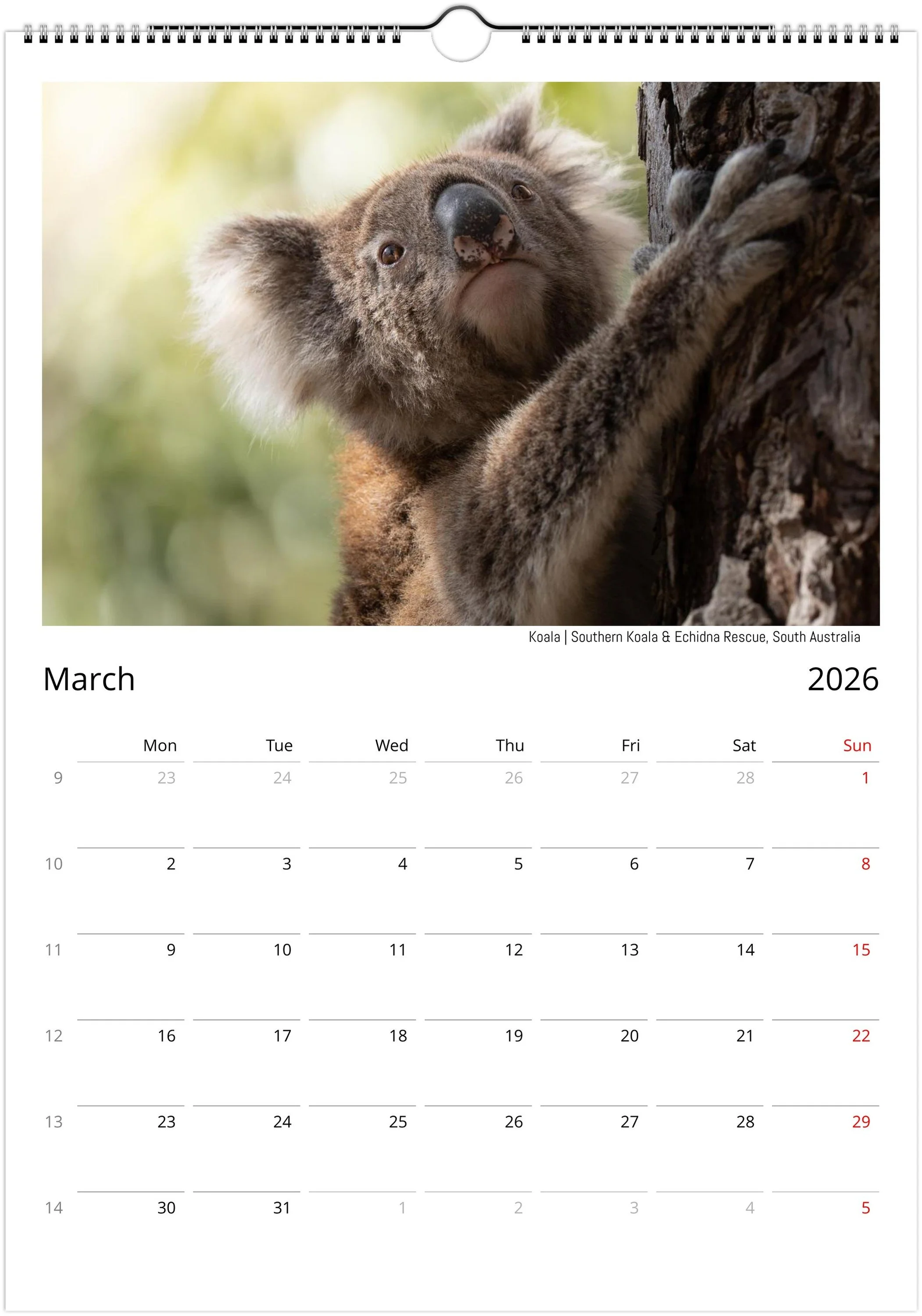 month-3.jpeg