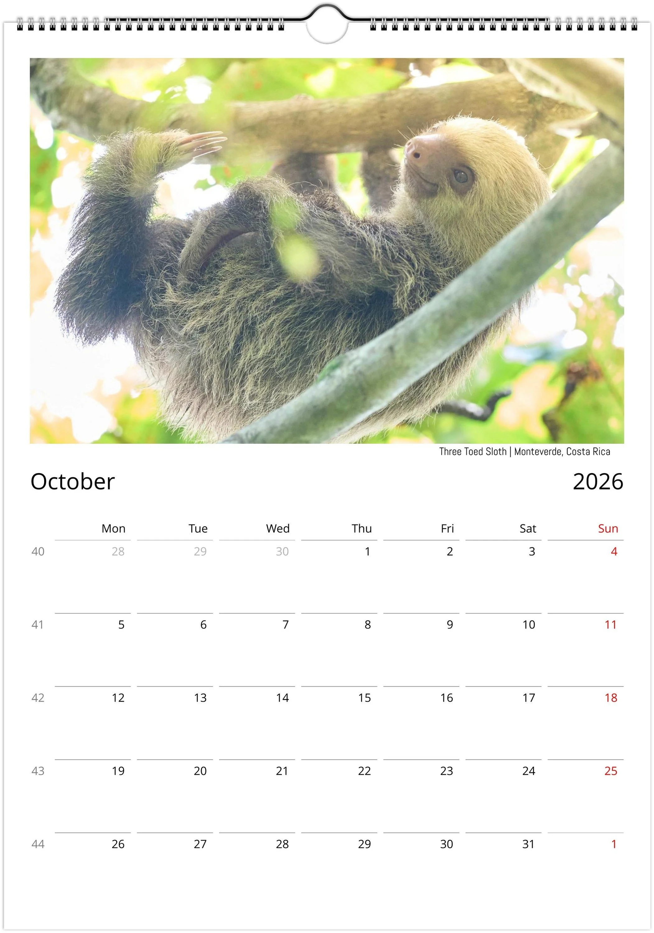 month-10.jpeg