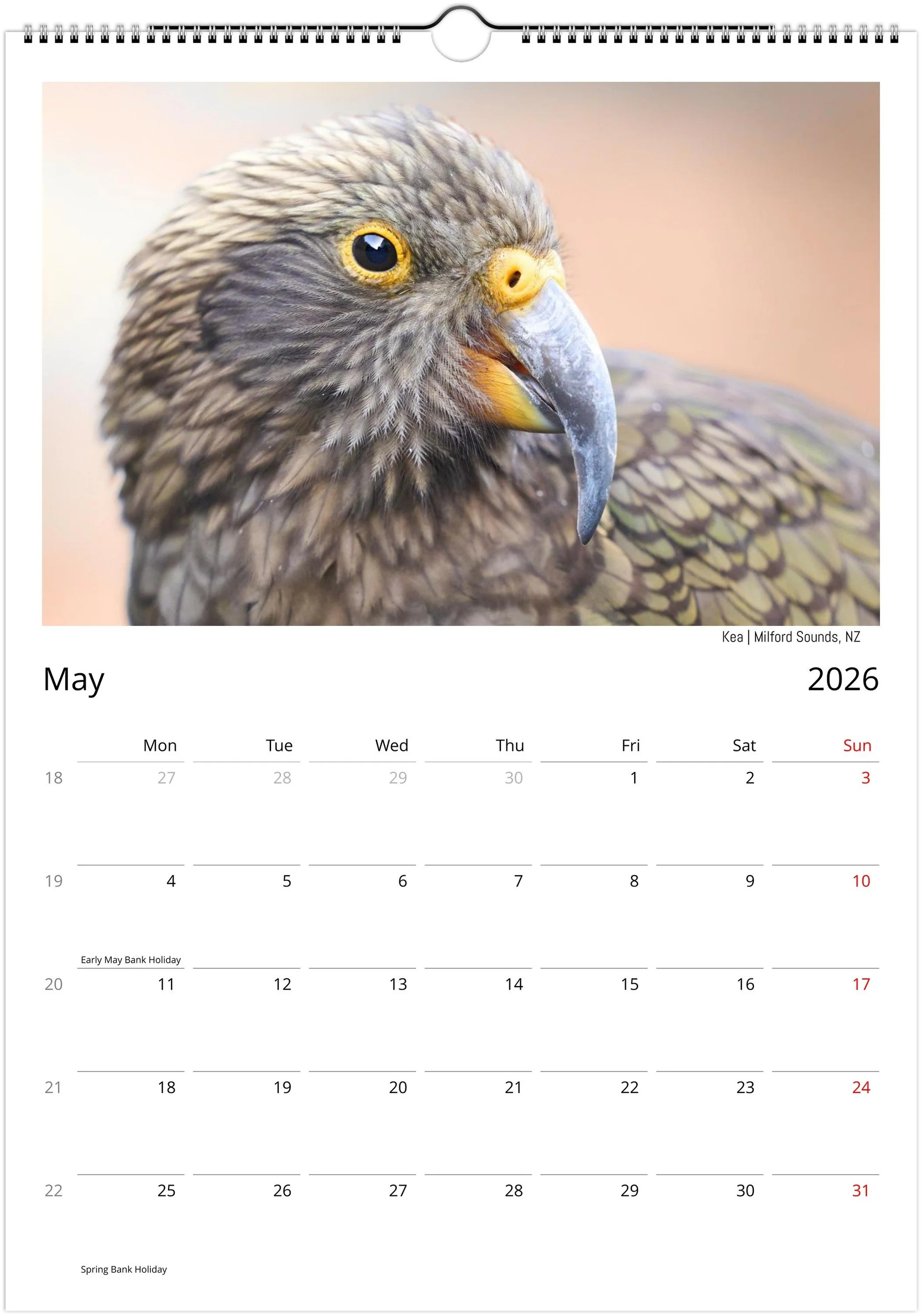 month-5.jpeg