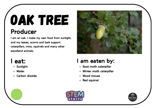 2_Food Web Game.jpg