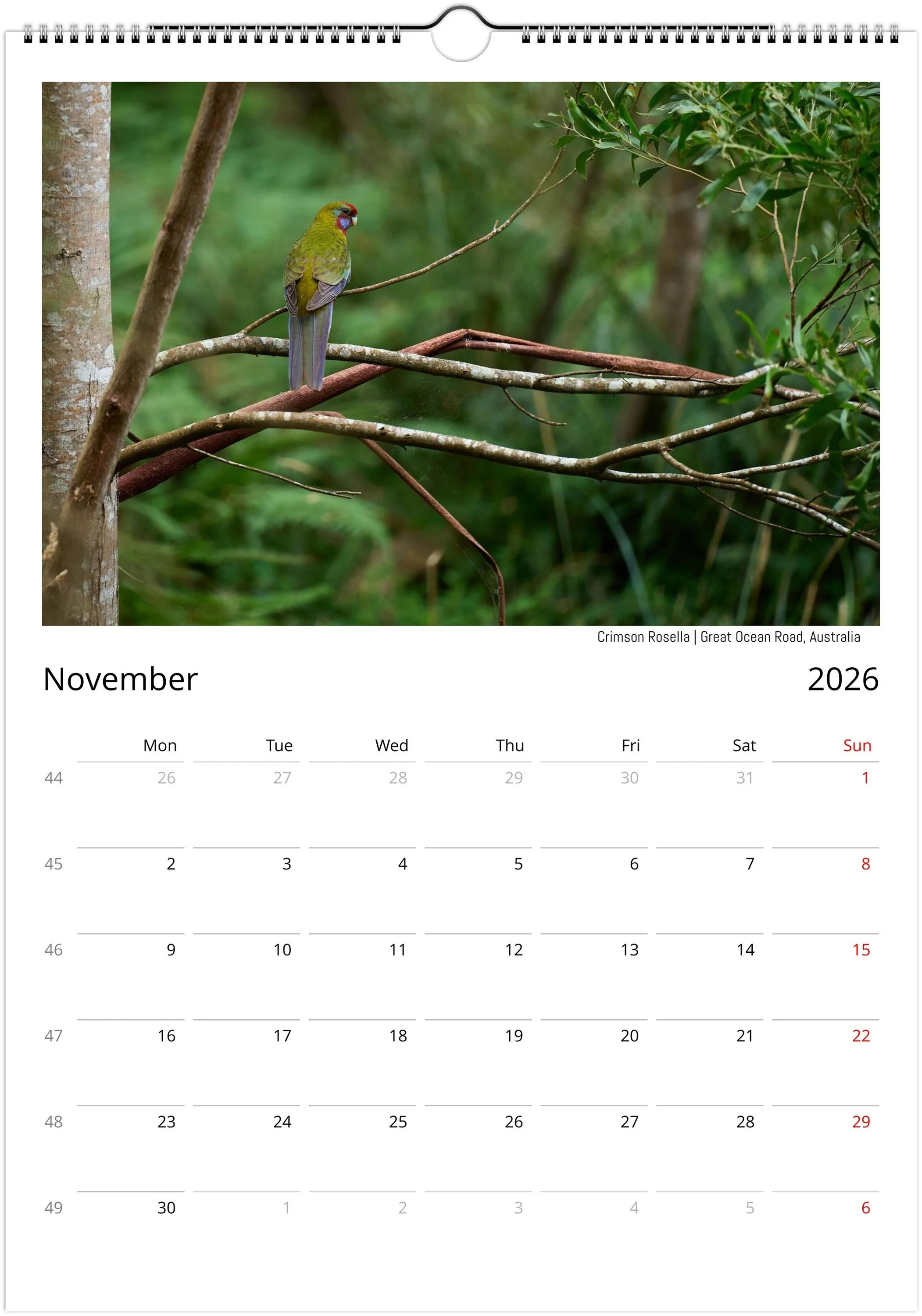 month-11.jpeg