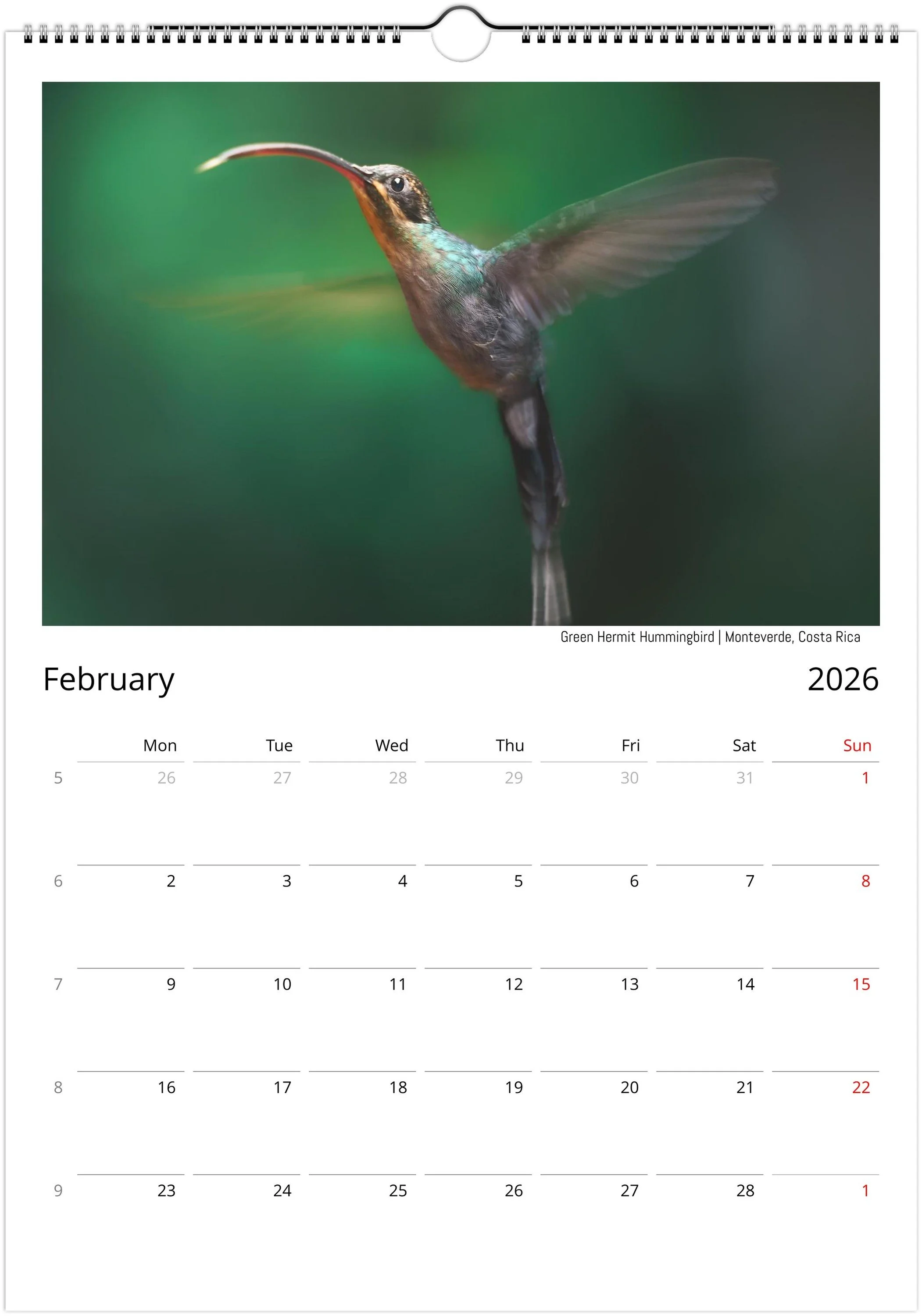 month-2.jpeg
