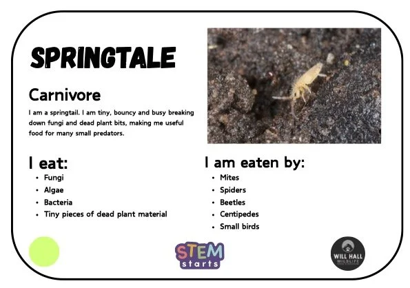 2_Food Web Game4.jpg