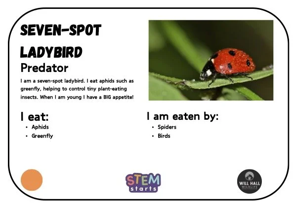 2_Food Web Game2.jpg