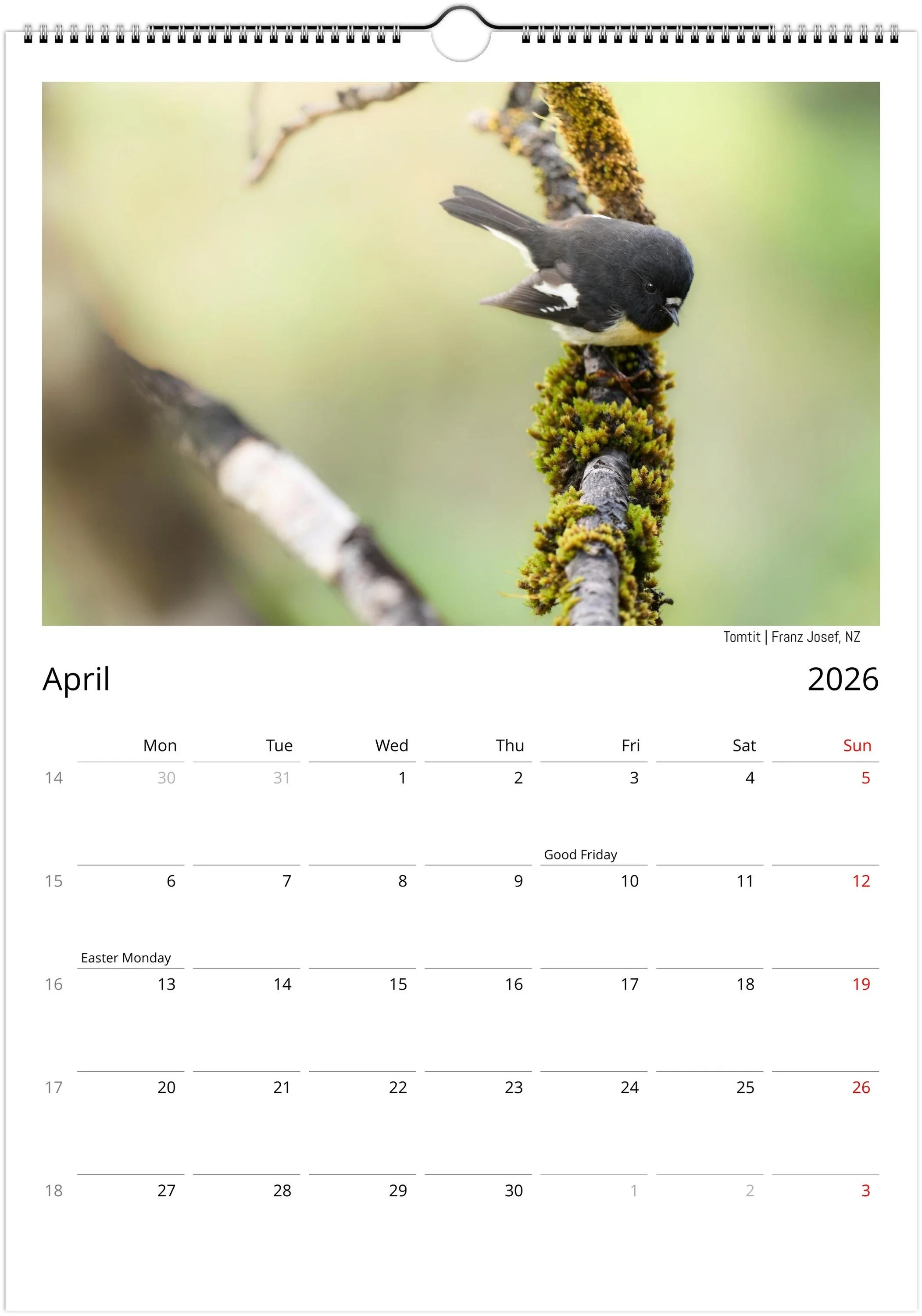 month-4.jpeg