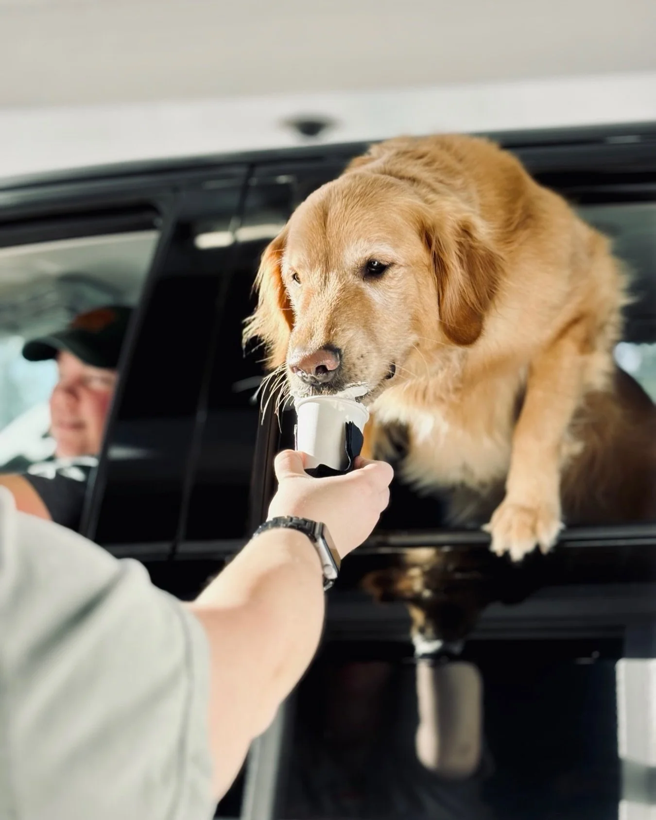 Sometimes the puppers need a sweet treat too!! Our drive thru and patio space are pet friendly (and we kindly ask that only service animals be brought inside).