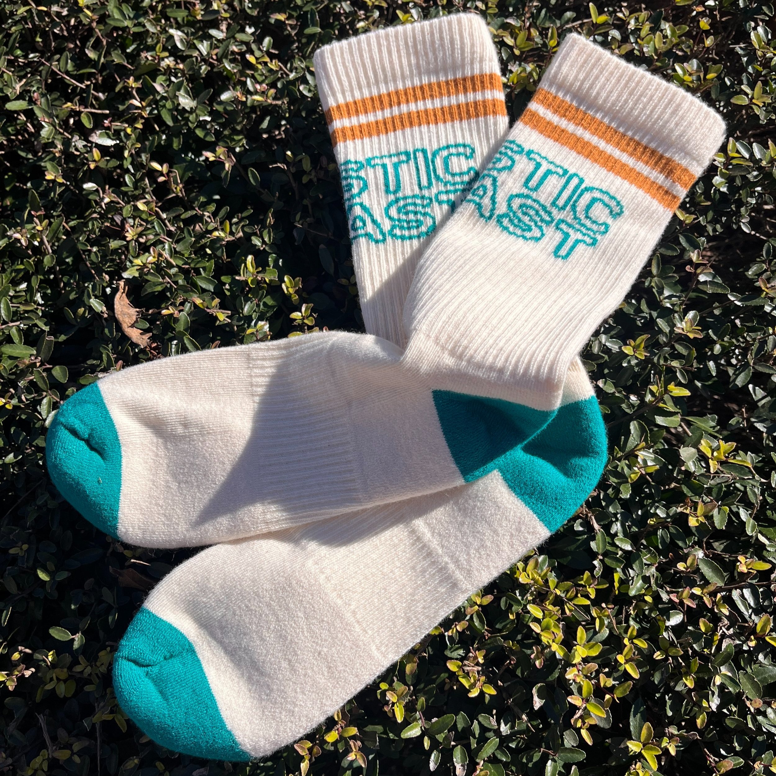 Socks+1.jpg