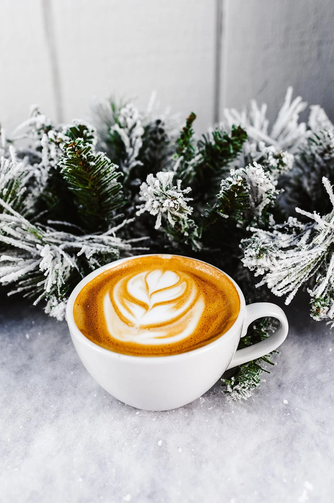 Iced coffee drink with whipped cream, sliced oranges, and blueberries on a wooden surface with greenery in the background.