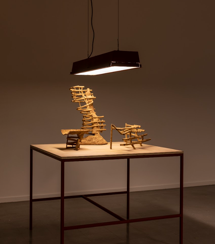 Termite Economies (Phase 1). Sutton Gallery Australia,  photographer Andrew Curtis 