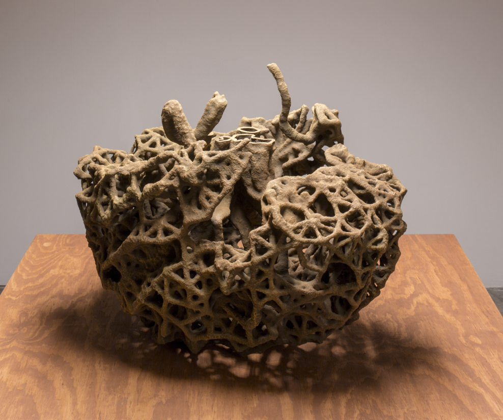 Termite Economies (Phase 3). LABOR Mexico DF,  photographer Andrew Curtis