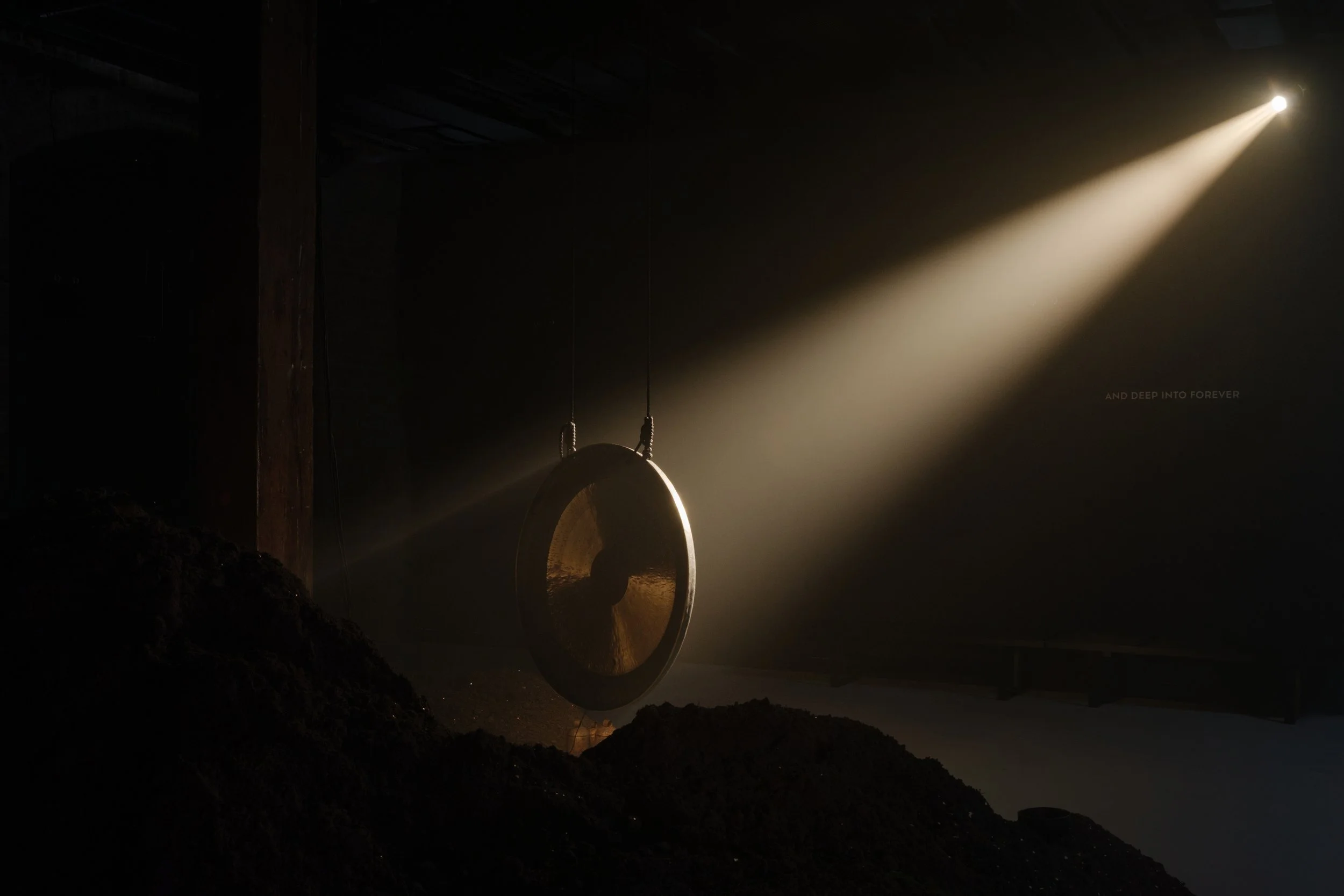 Michaela Gleave Reaches Across Continua at Artspace