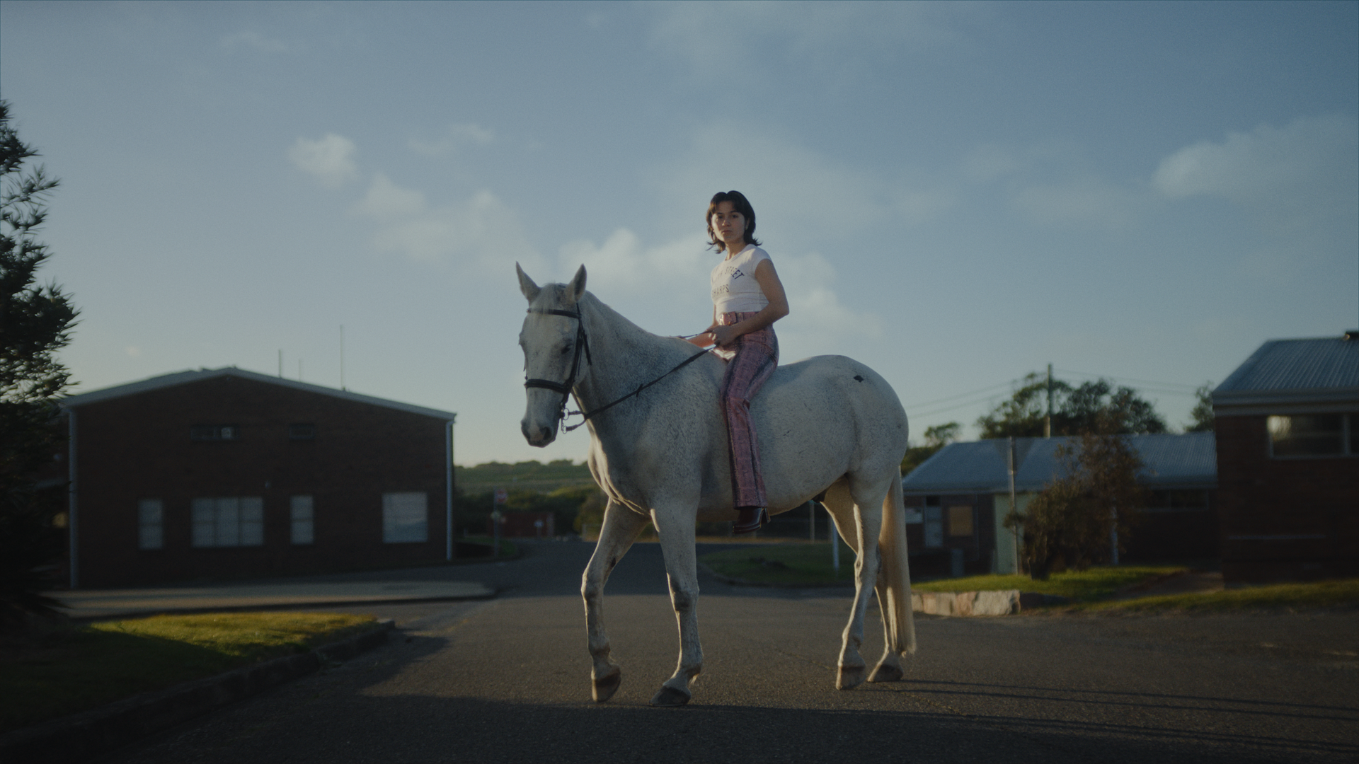 Staying Sharp: Davie Paterson’s ‘A Stable for Horses’