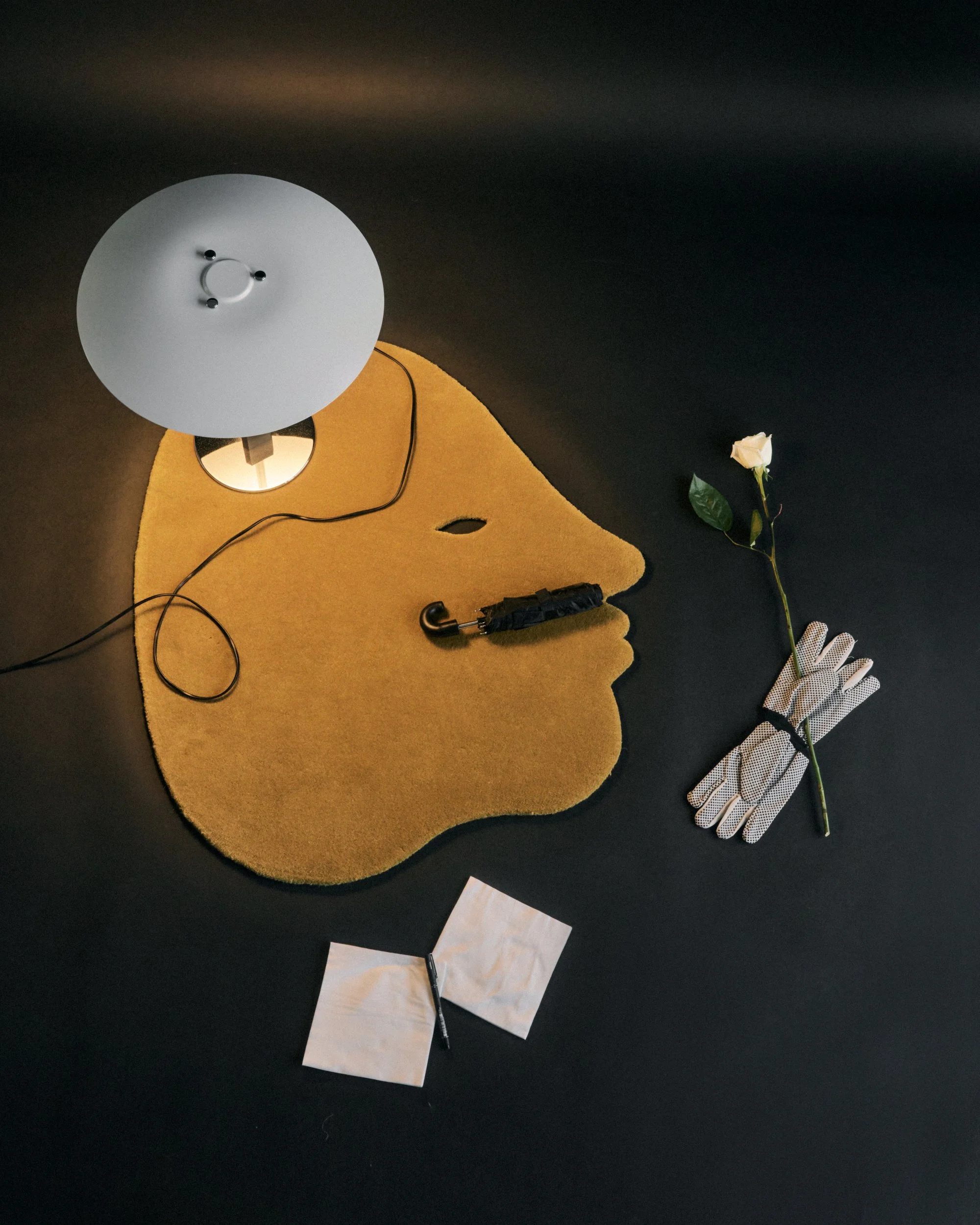 ‘Domestic Dialogues’ by Seung Rok Baek