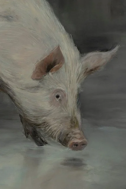 Detail: ‘Pig’, 2026. Oil on canvas. Image courtesy 1301SW.
