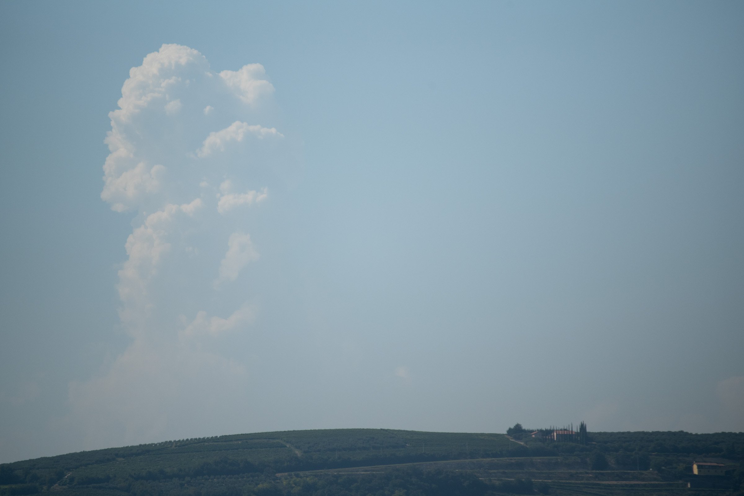 DSC_5544-SITO WEB_2026-2.jpg