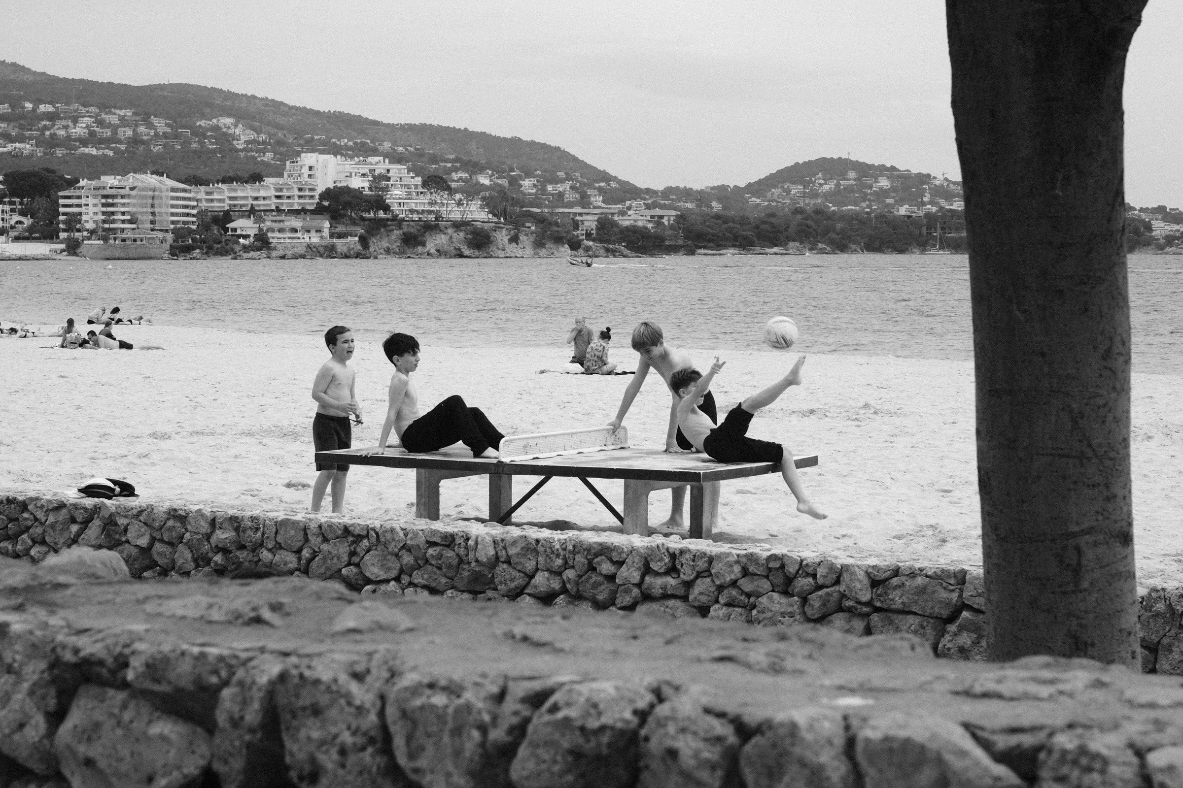 DSCF6741.jpg
