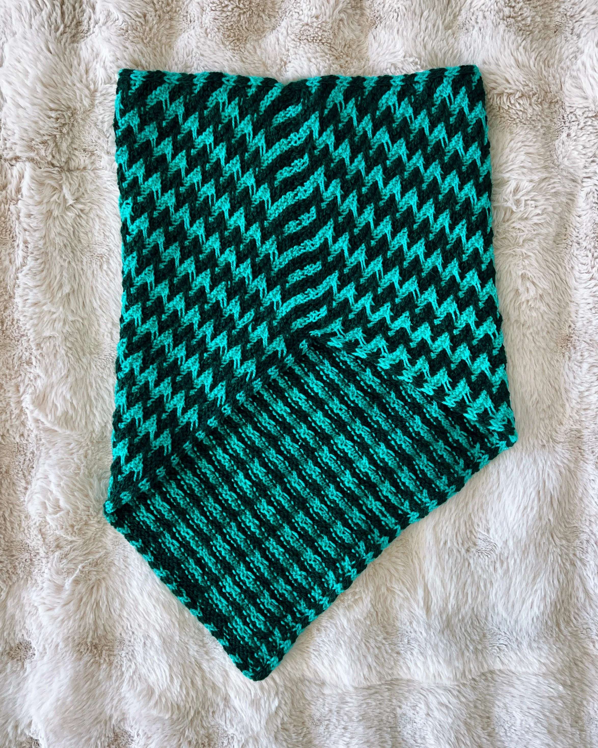 CROSSCURRENT FLATLAY BACK_VSCO (1).JPG