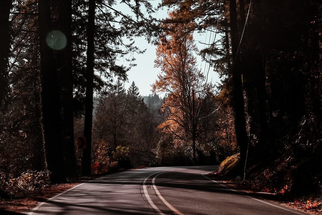 oregon in november🍂
&bull;
&bull;
&bull;
&bull;
&bull;
#photography #oregon #oregonautumn #autumnphotography #fallcolors #oregonphotography