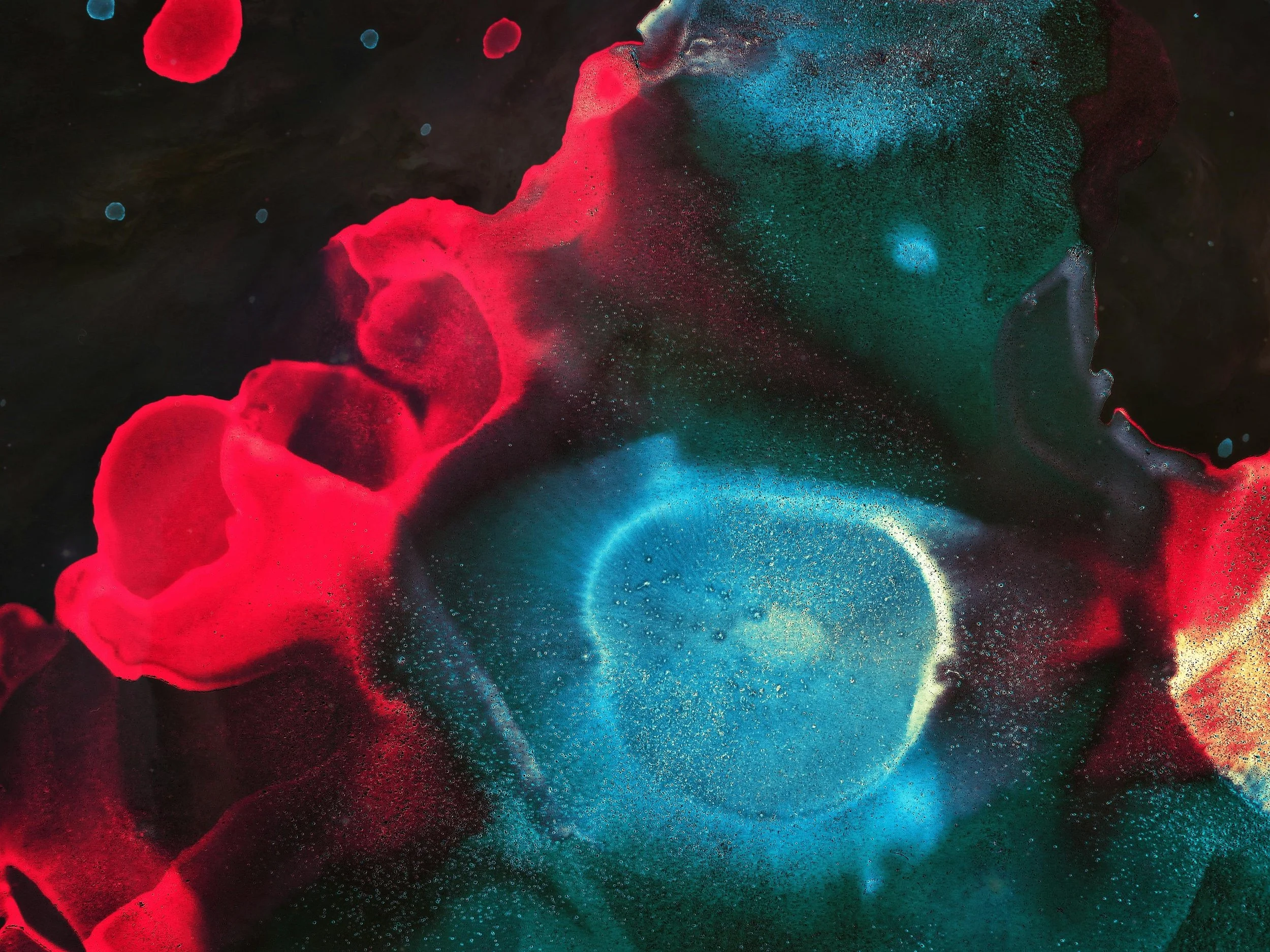 Marketing as Media: The Future of B2B Growth