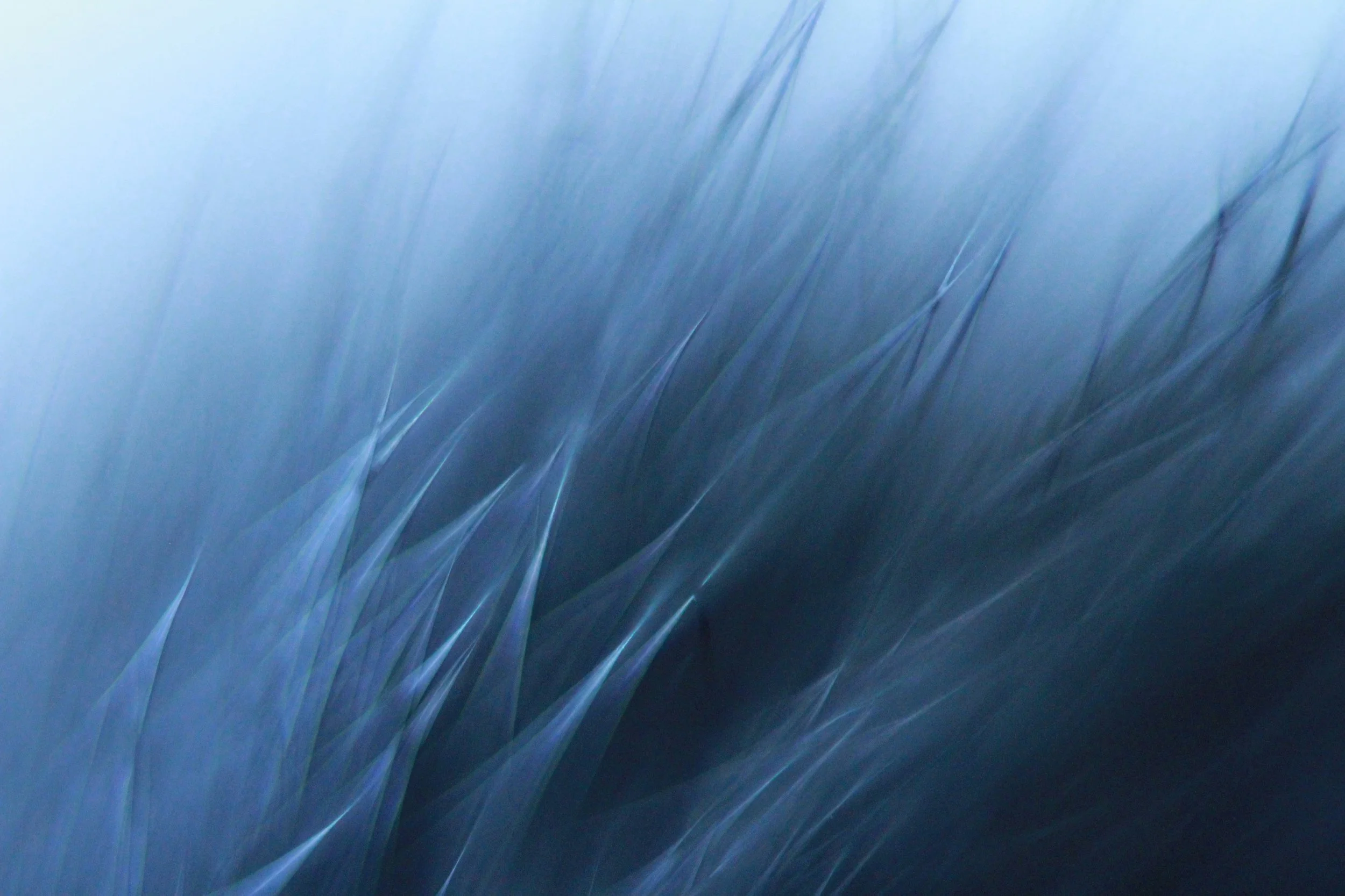 Why CEOs Should Build Personal Brands